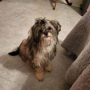 Meet your Posher, Sheri